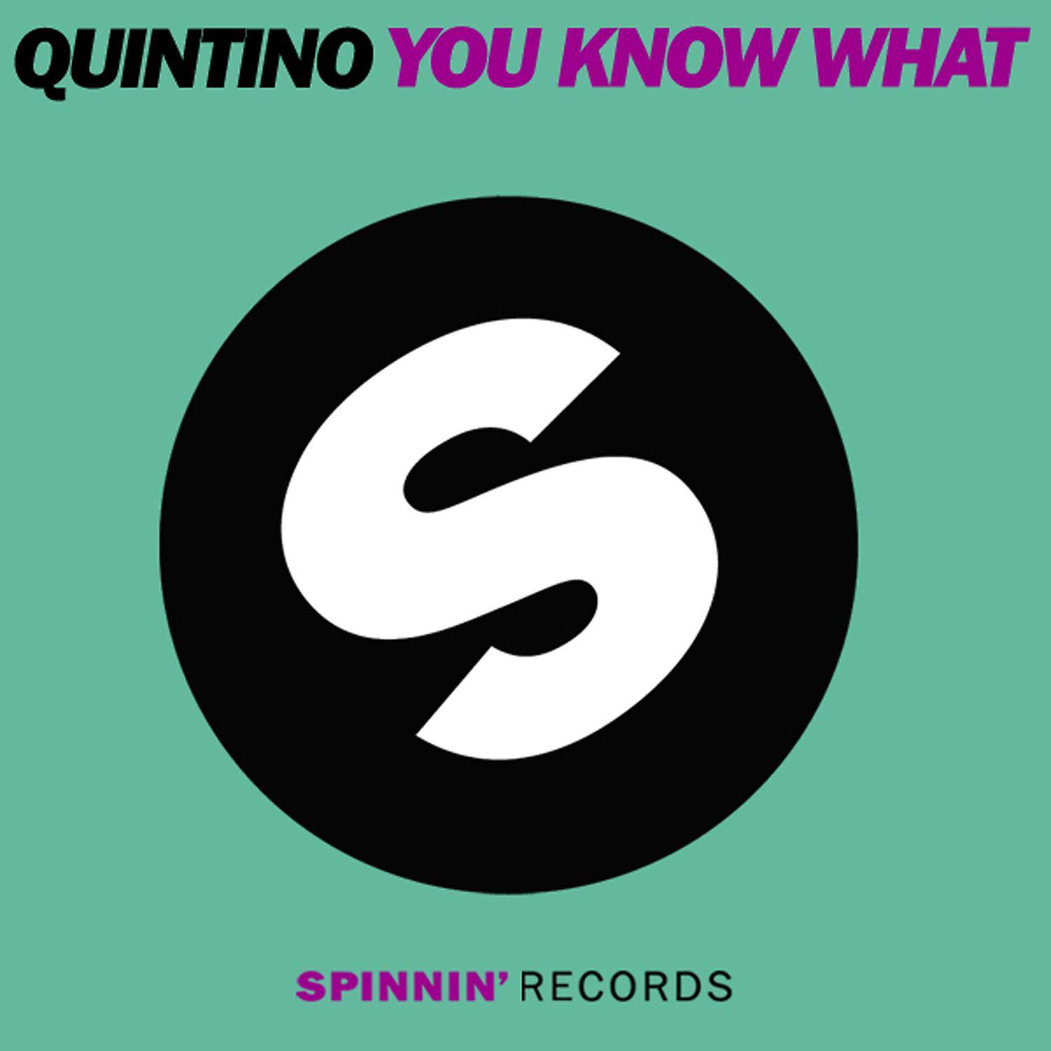 QUINTINO - You Know What (Leroy Styles Remix)