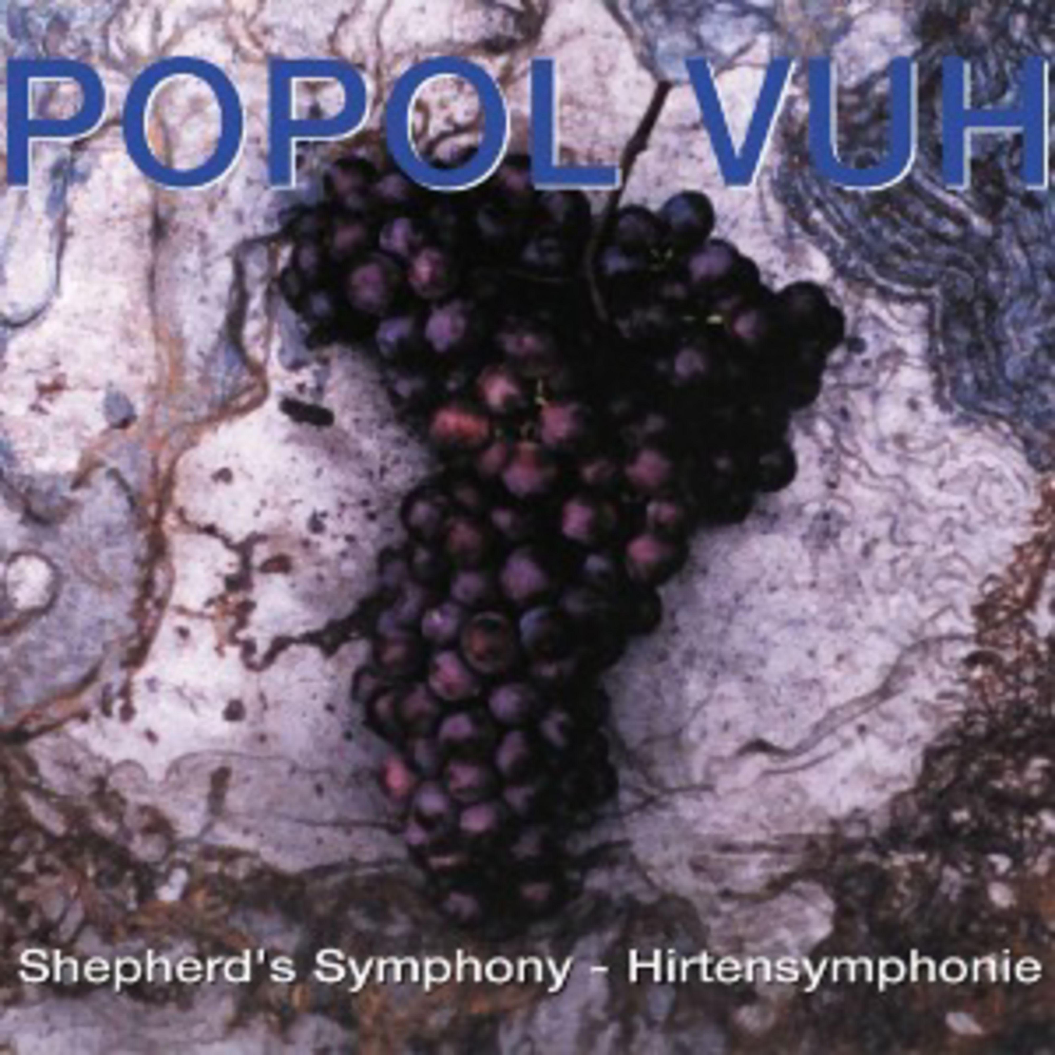 Постер альбома Shepherd's Symphony