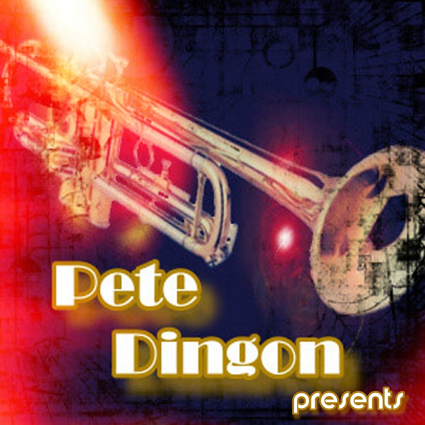 Velvet Lounge Project - On the Run (Pete Dingon Instrumental Mix)