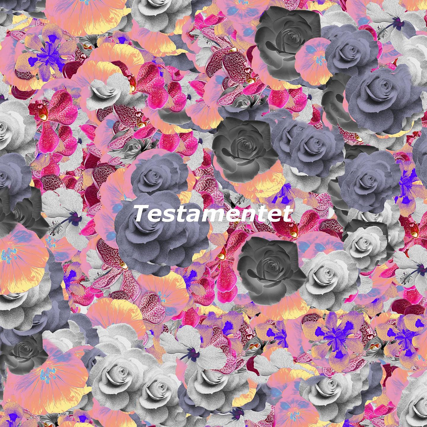 Постер альбома Testamentet