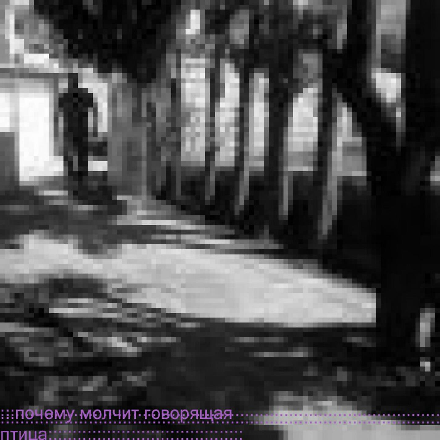 Почему коммутатор молчит - Скорость того света