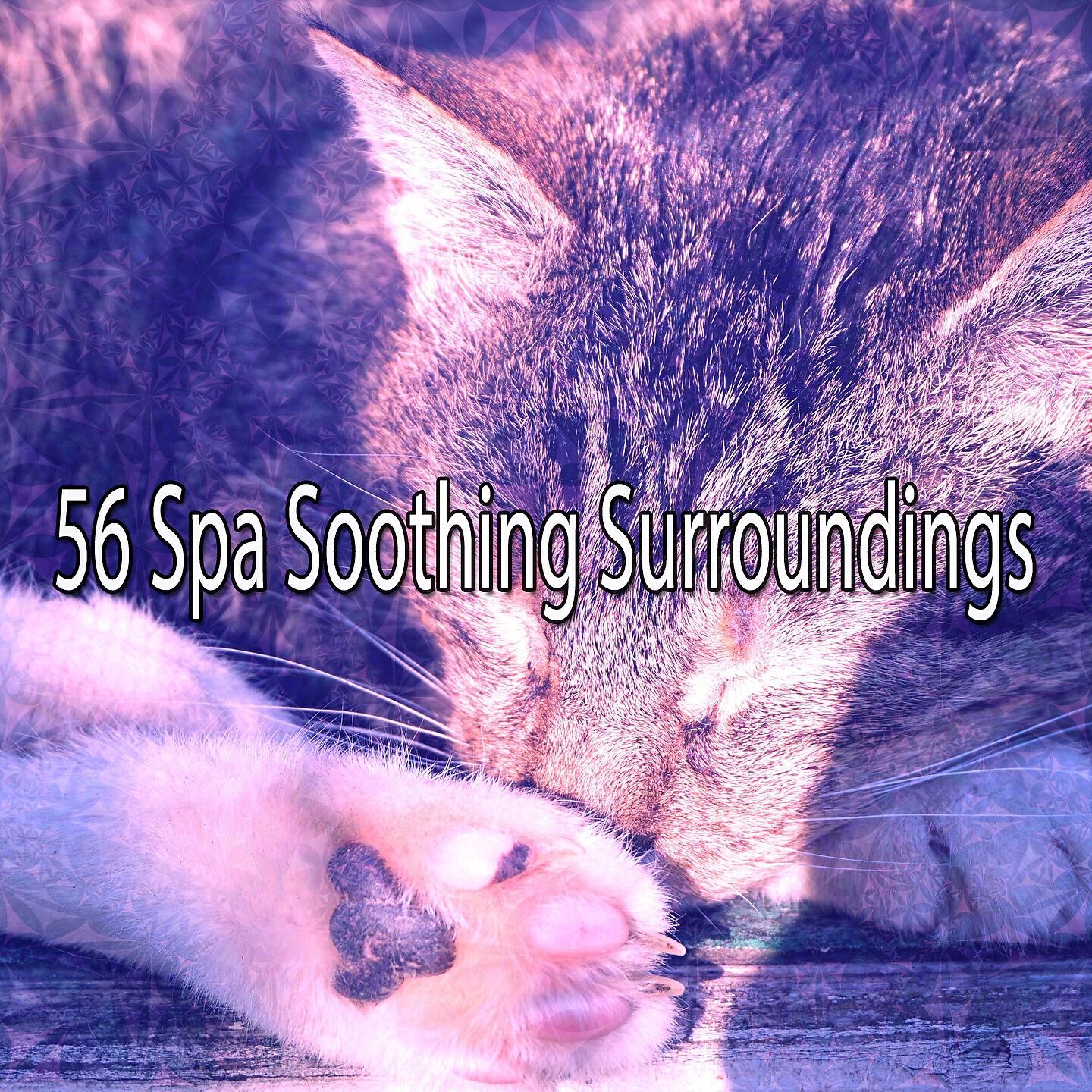 Best Relaxing SPA Music - Oscilating Relaxation