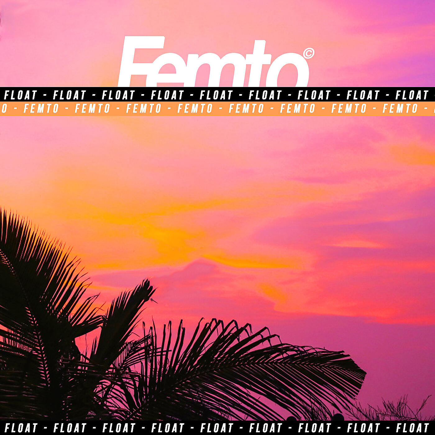 Femto - Float