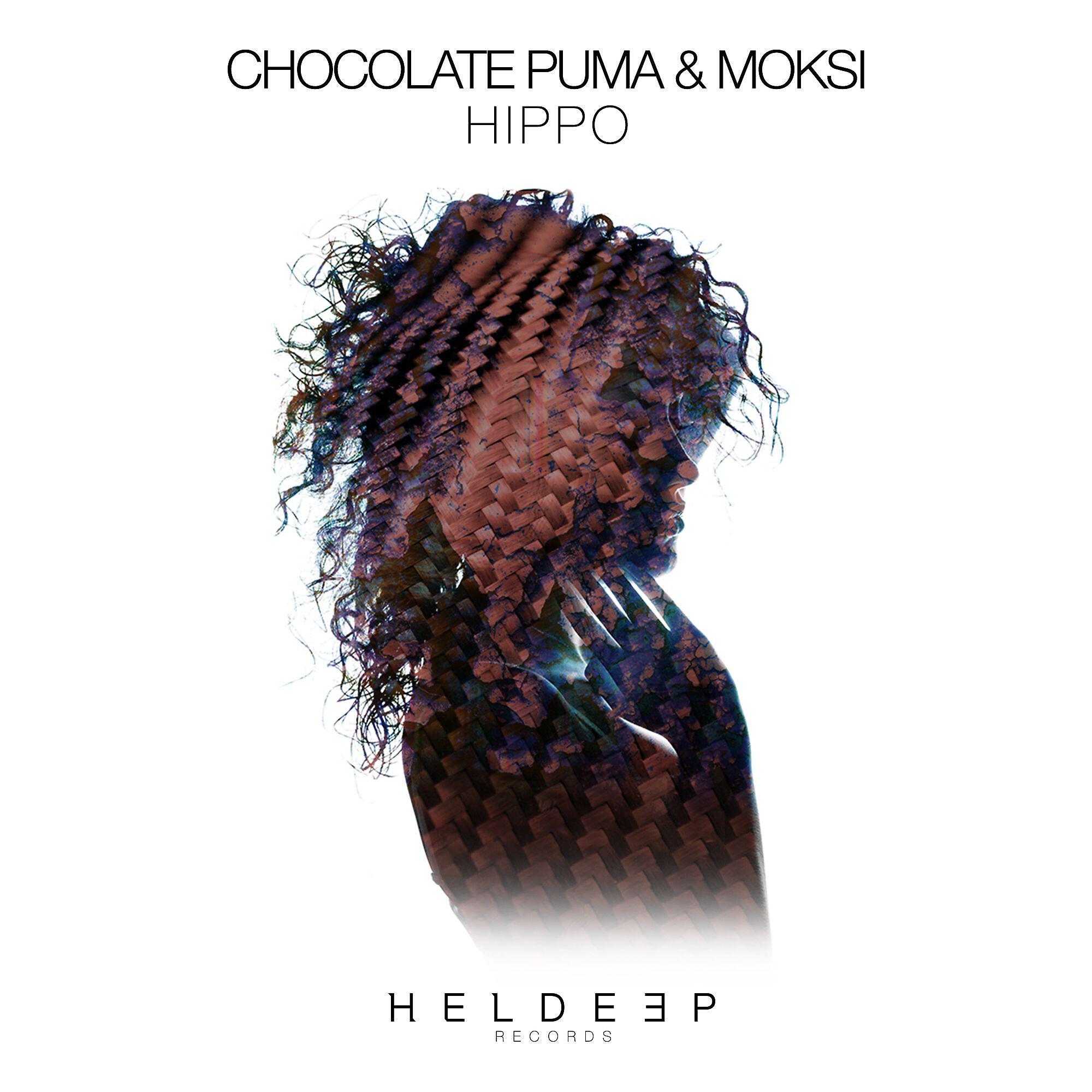 Chocolate Puma - Hippo