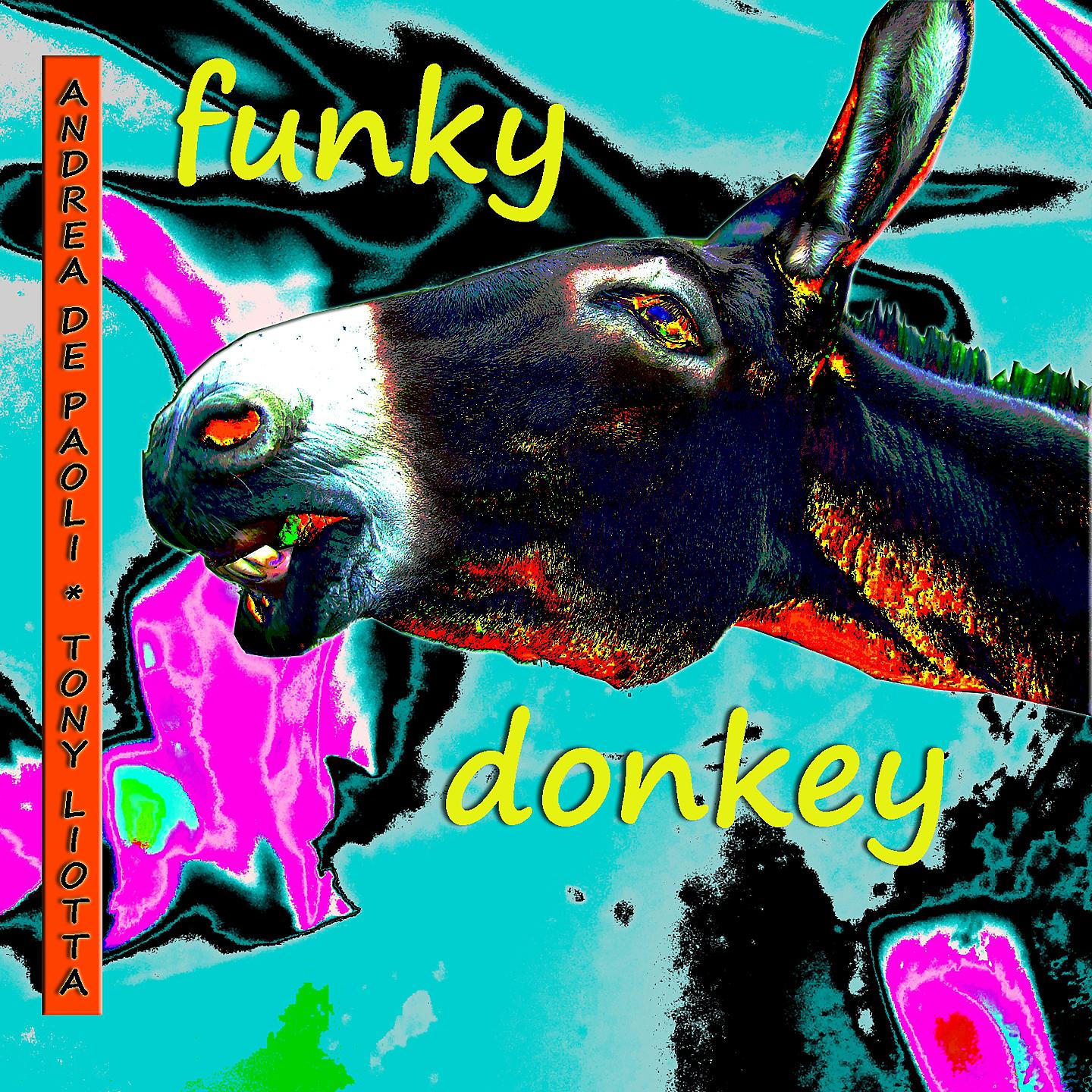 Постер альбома Funky Donkey