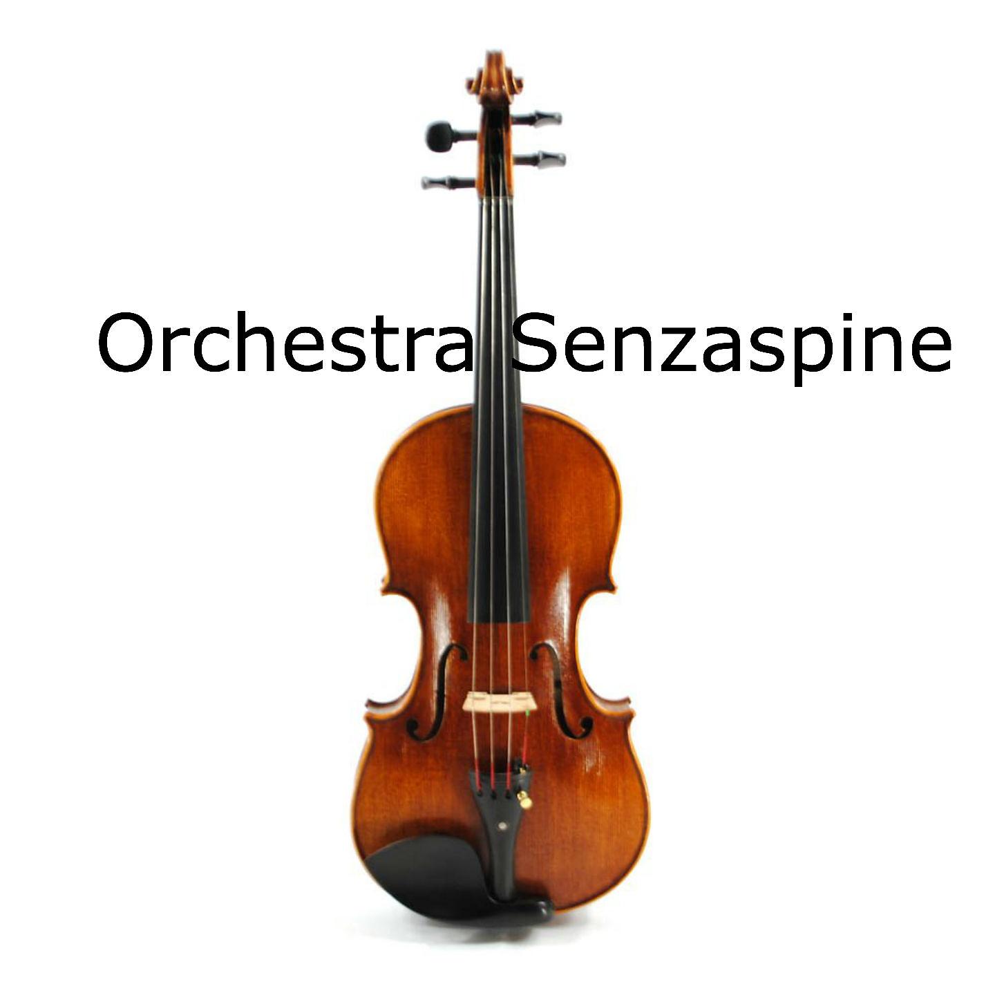 Постер альбома Orchestra Senzaspine