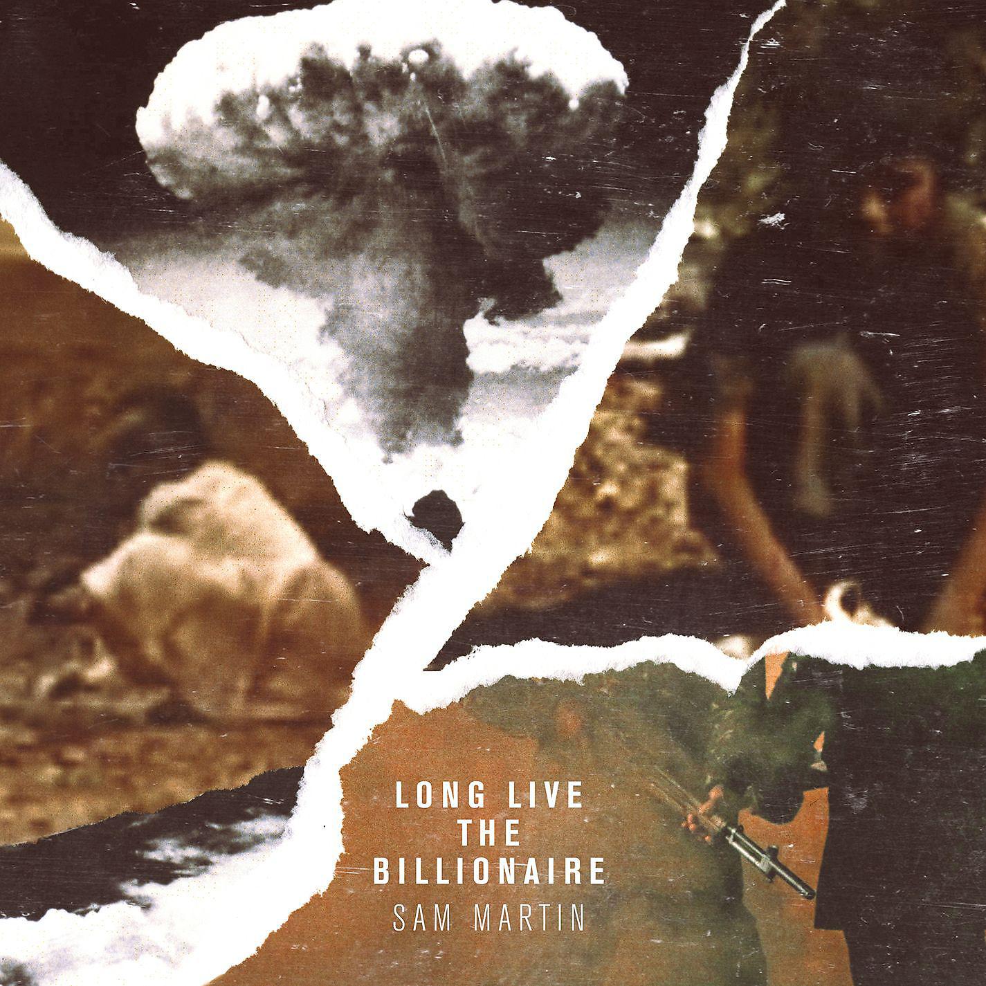 Постер альбома Long Live The Billionaire