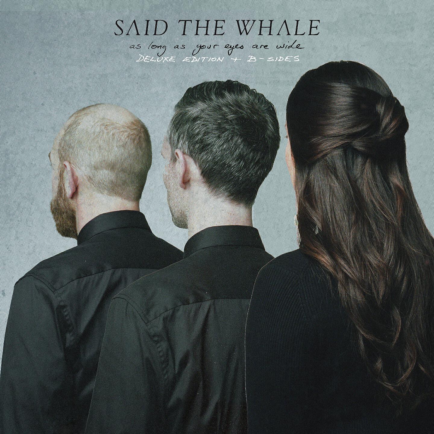 Said The Whale - Nothing Makes Me Happy