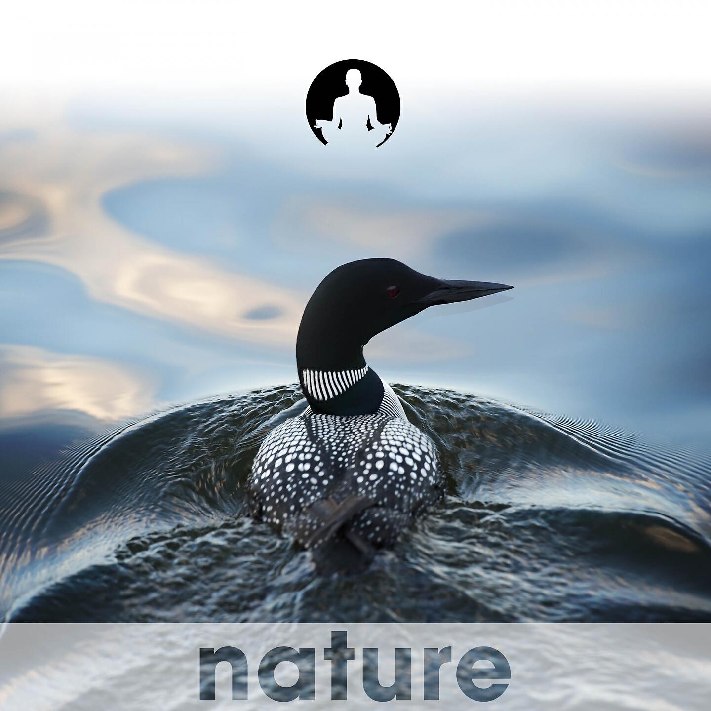Nature's Harmony - Rain / After the Rain
