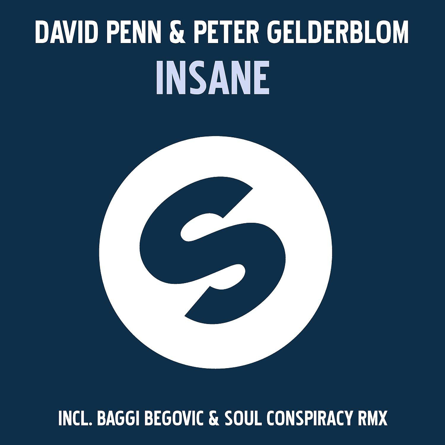 Peter Gelderblom - Insane (Baggi Begovic & Soul Conspiracy Remix)
