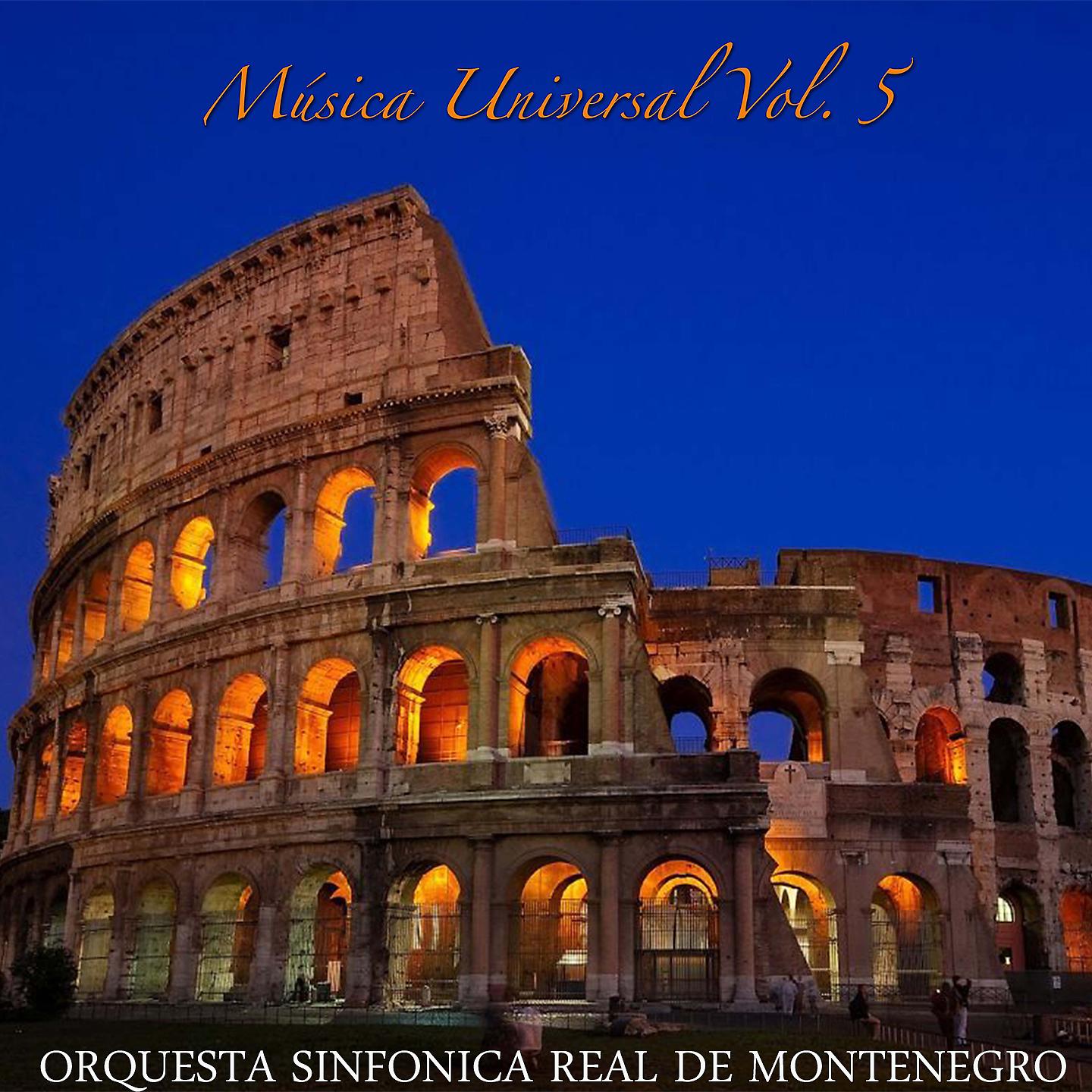 Постер альбома Musica Universal Vol 5