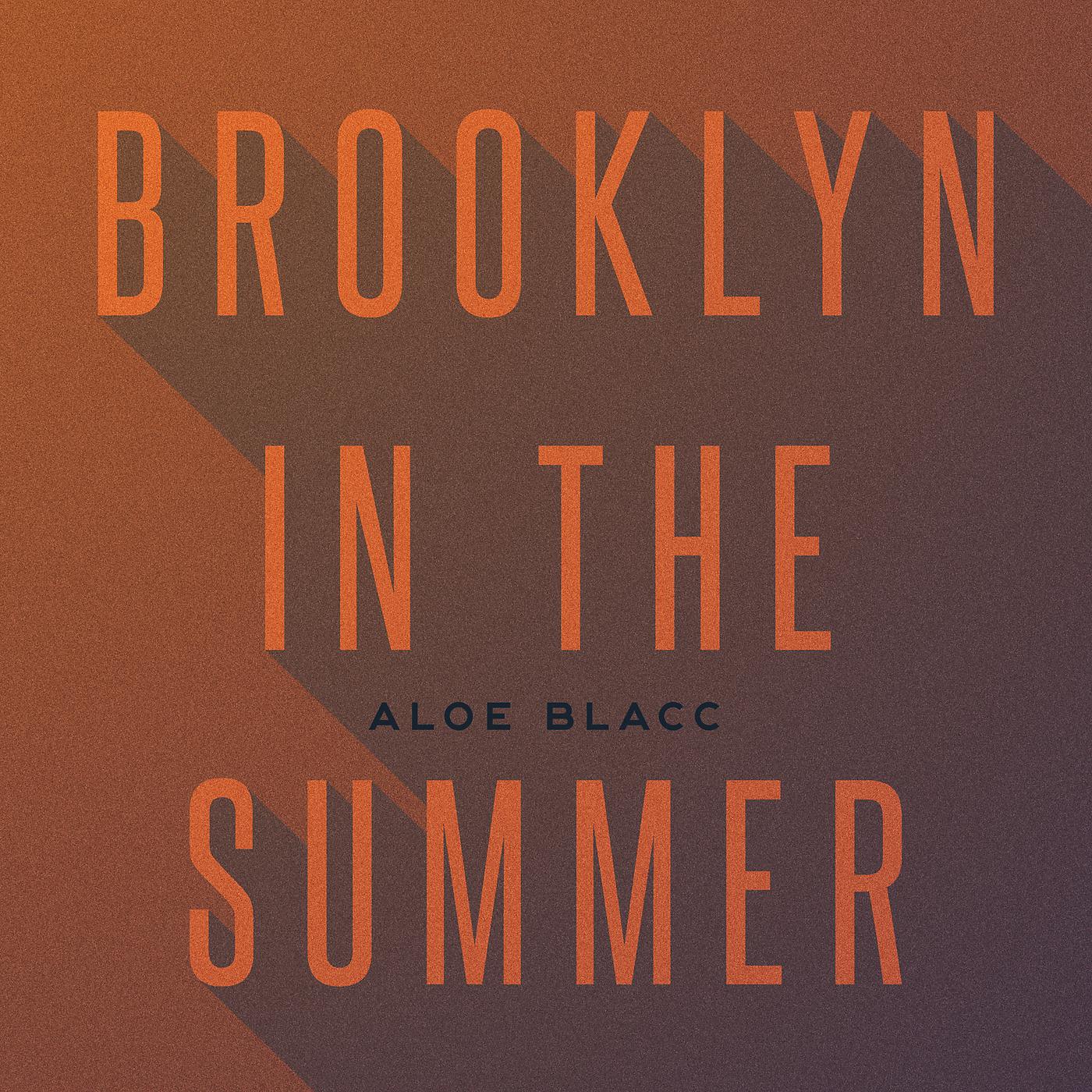 Постер альбома Brooklyn In The Summer