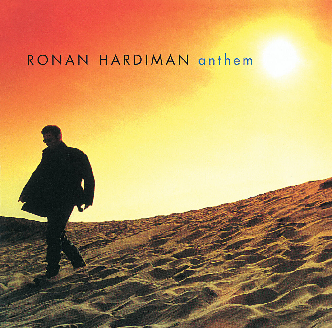 Ronan Hardiman - World's Apart