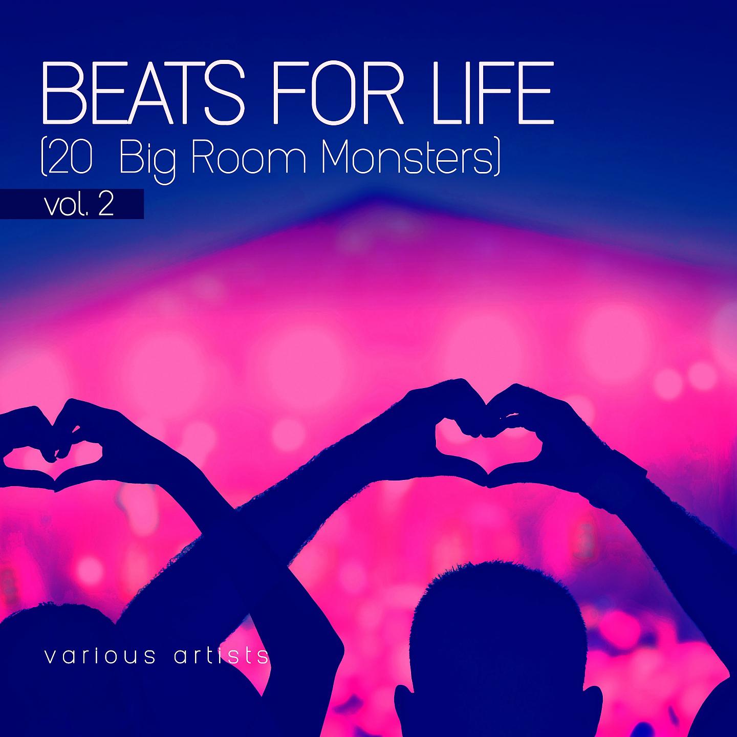 Постер альбома Beats for Life, Vol. 2 (20 Big Room Monsters)
