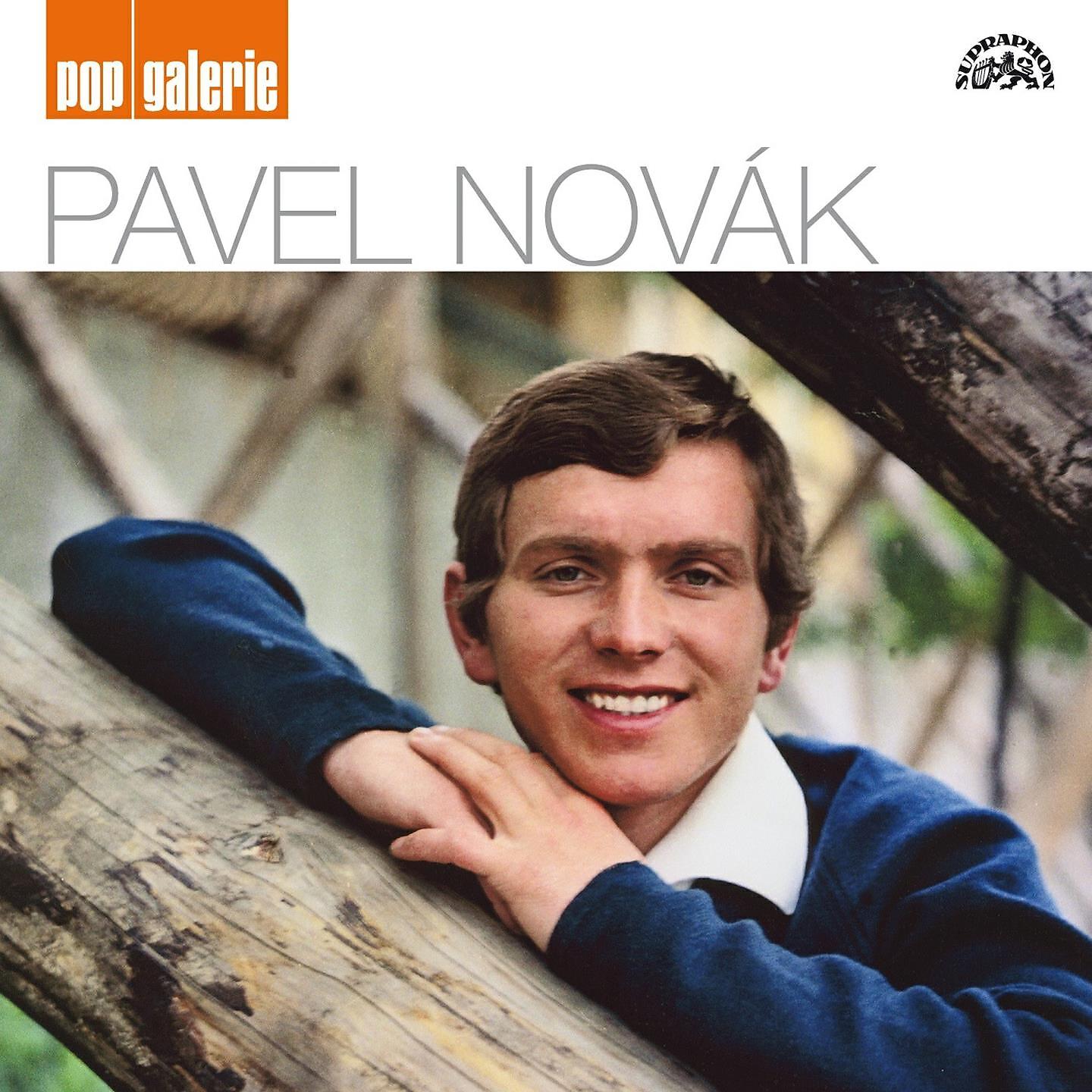 Pavel Novák - Jaký Jsem