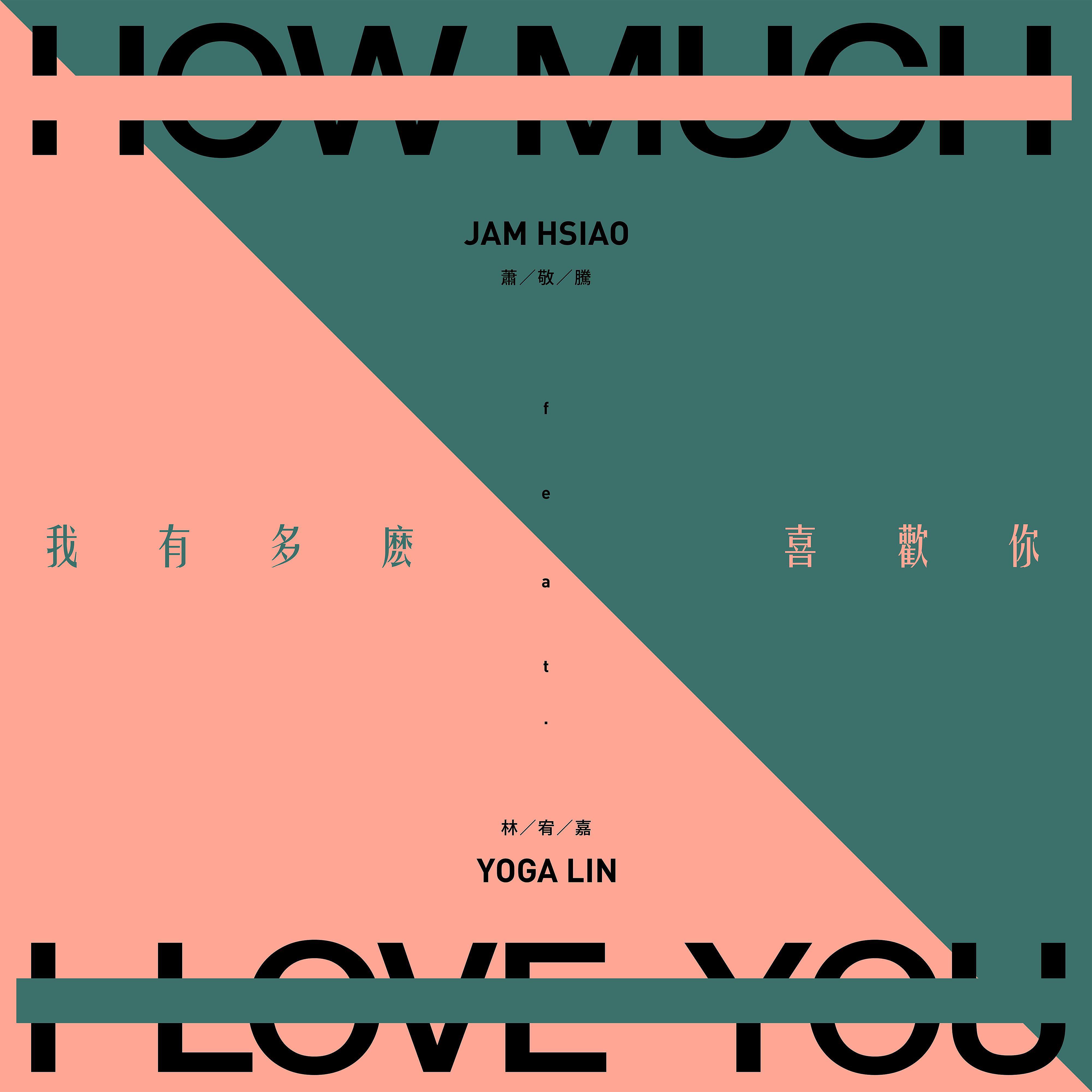 Постер альбома How Much I Love You (feat. Yoga Lin)