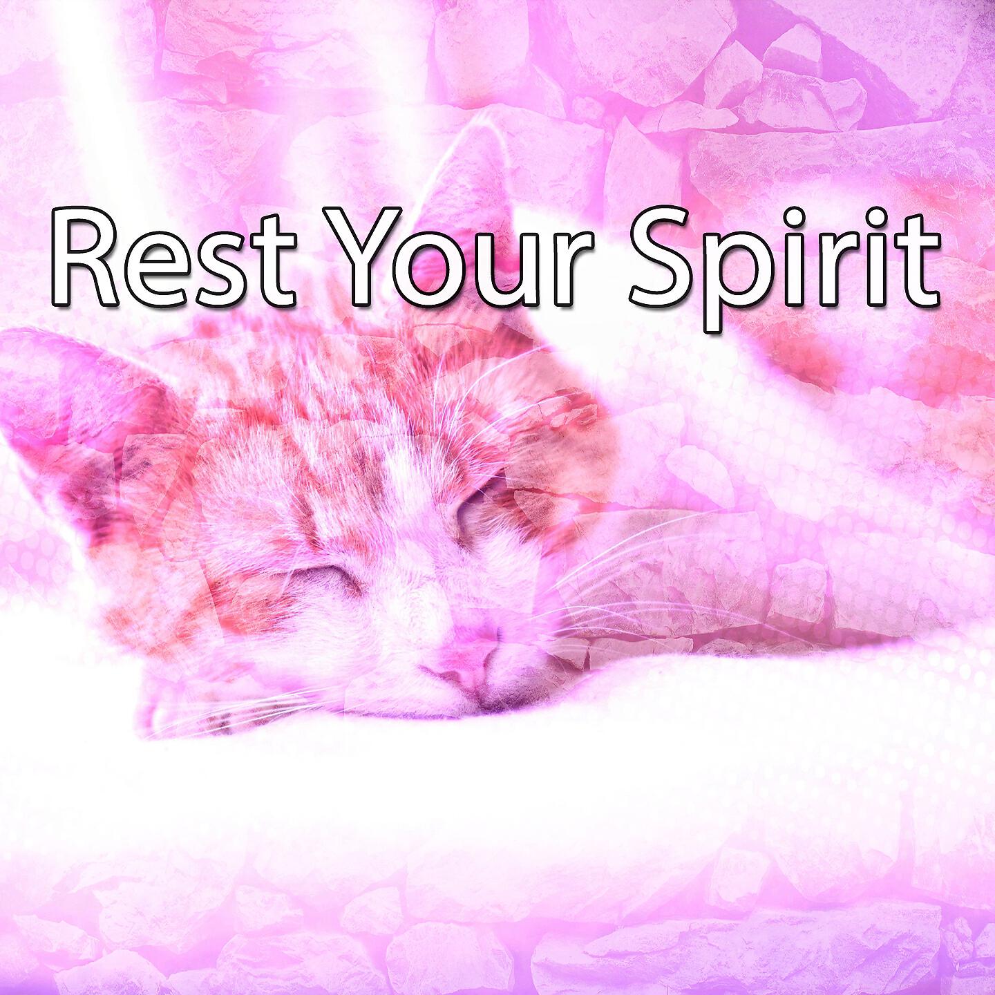 Soothing White Noise For Relaxation - Natures Soothing Call