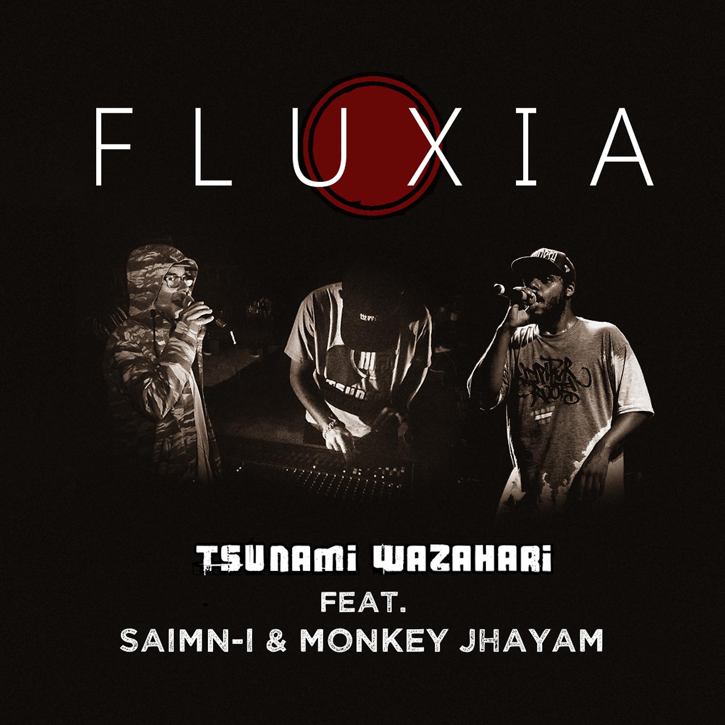 Постер альбома Fluxia