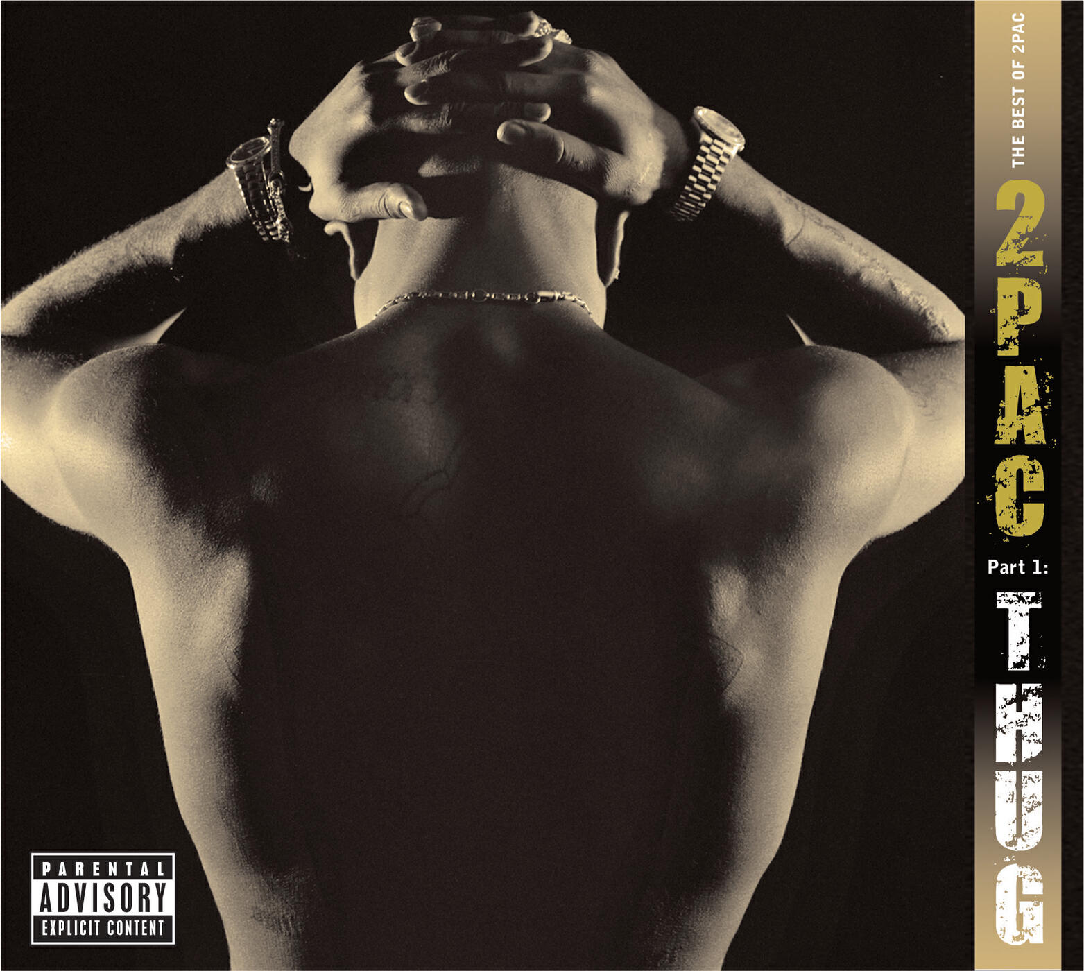 2Pac - 2 Of Amerikaz Most Wanted