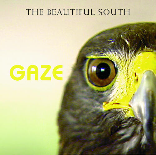The Beautiful South - Just A Few Things That I Ain't