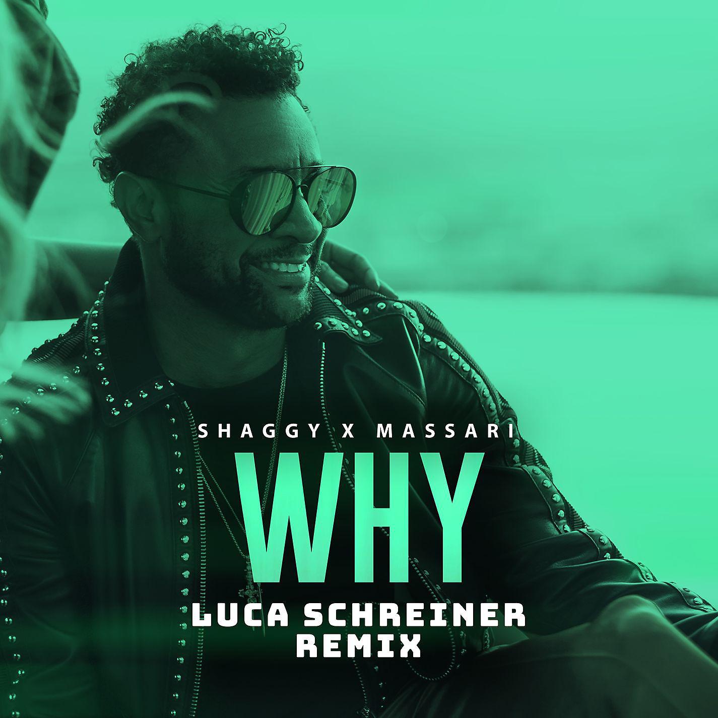 Постер альбома Why (Luca Schreiner Remix)