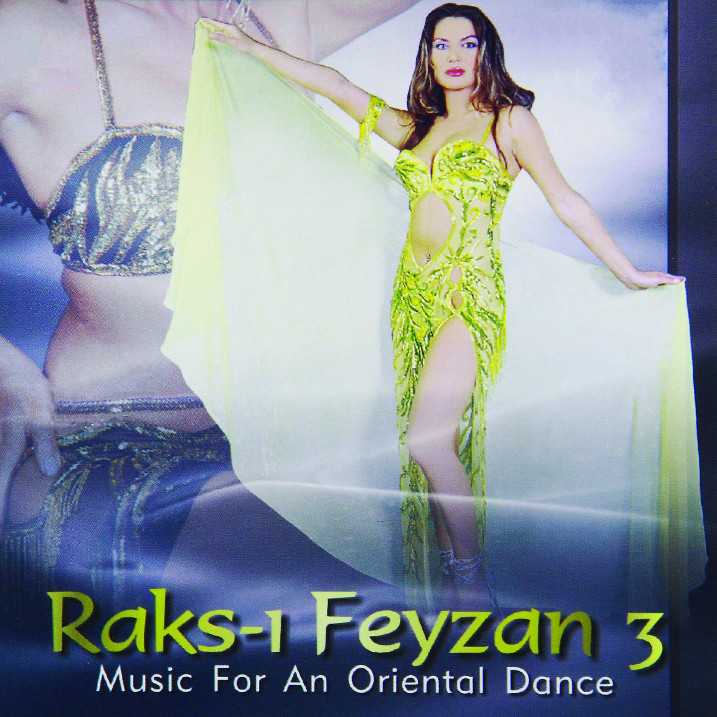 Постер альбома Raks-ı Feyzan, Vol. 3