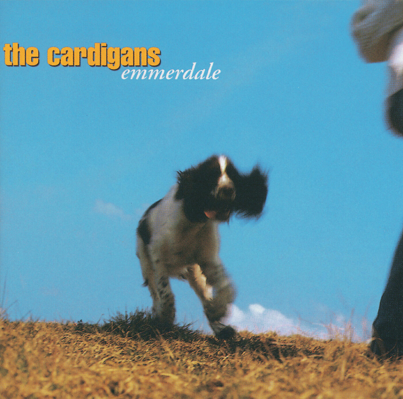 The Cardigans - Celia Inside