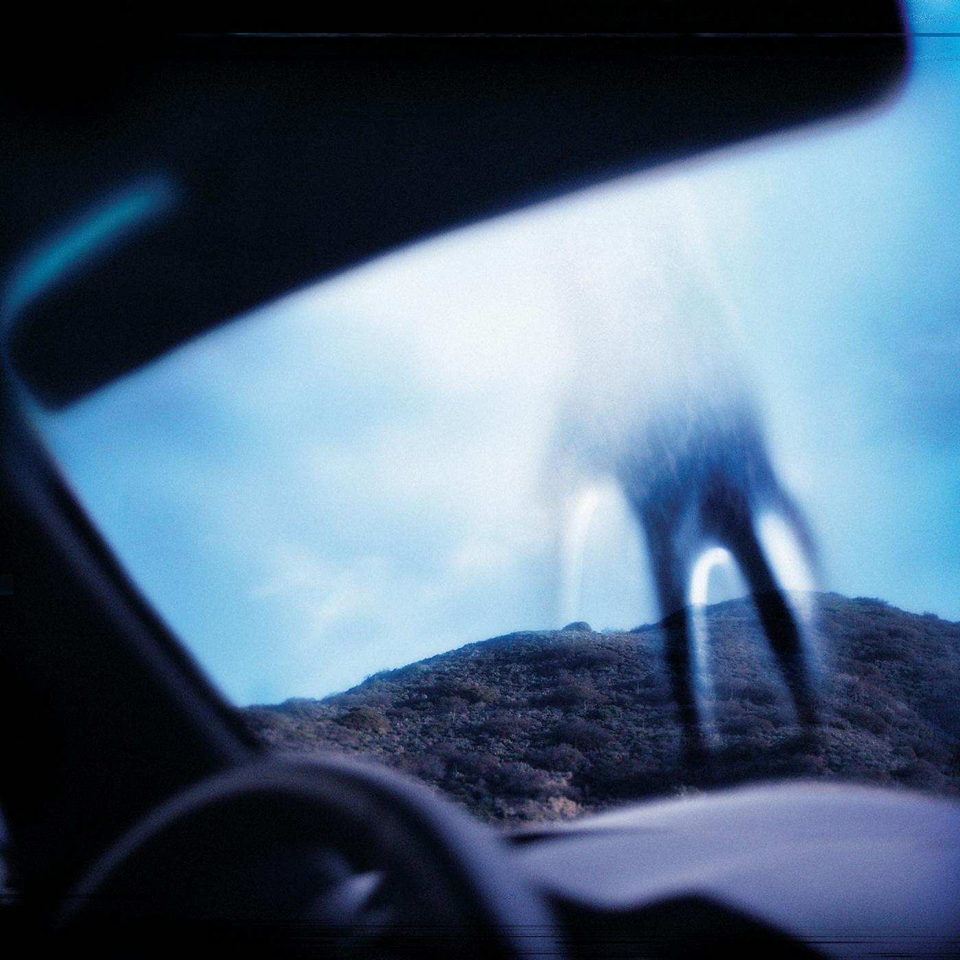 Nine Inch Nails - The Great Destroyer (Album Version)