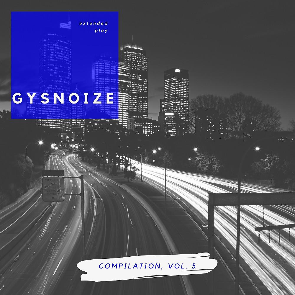 Постер альбома Gysnoize Compilation, Vol. 5