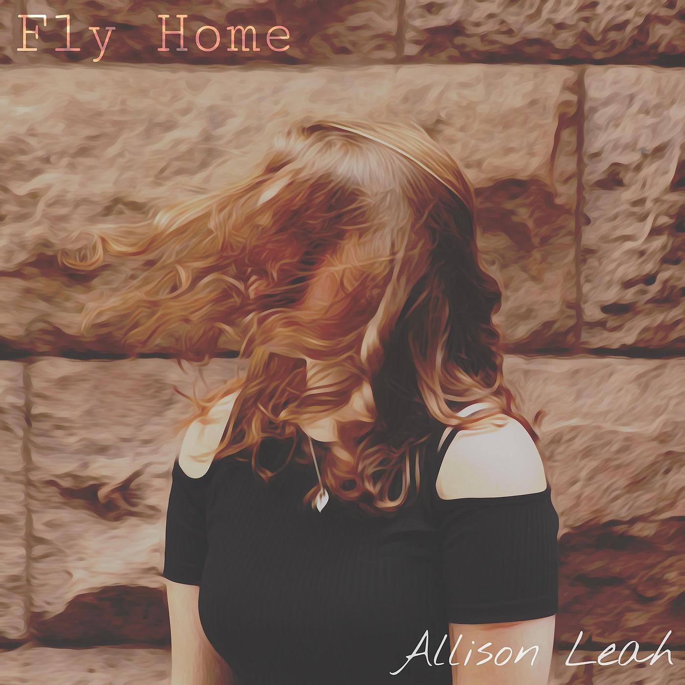 Постер альбома Fly Home