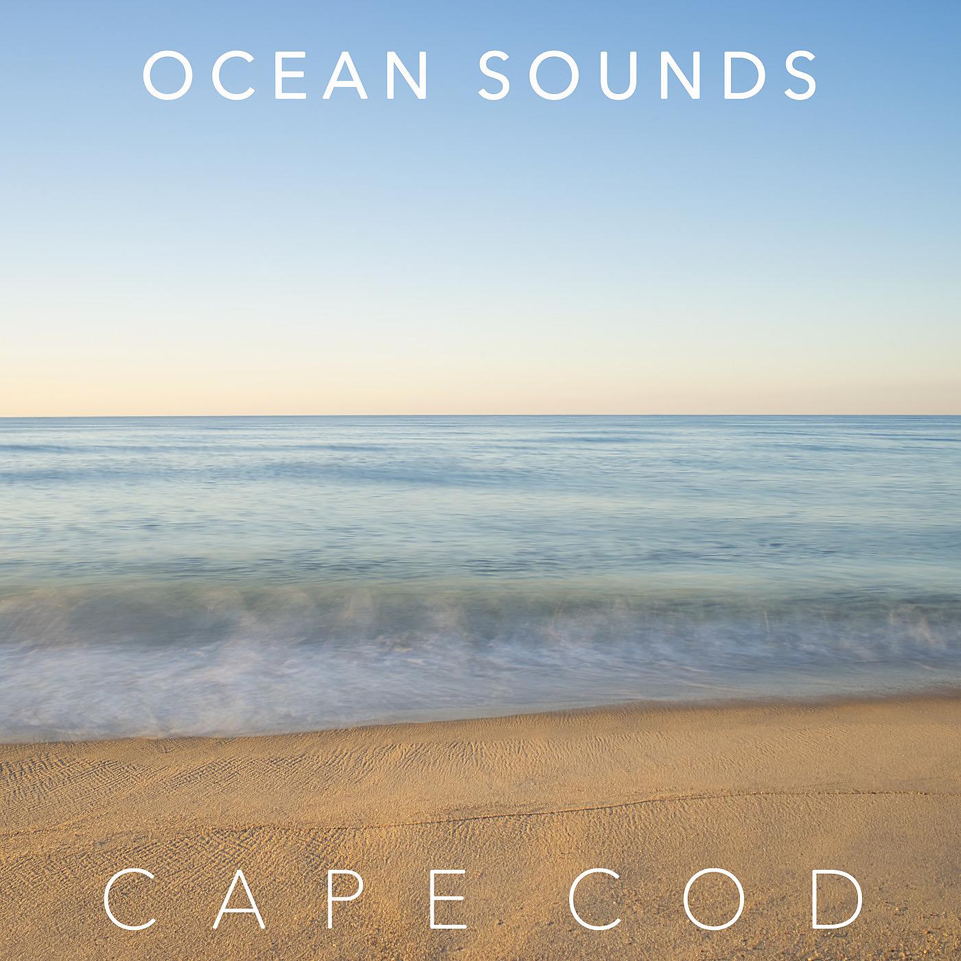 Постер альбома Ocean Sounds of Cape Cod