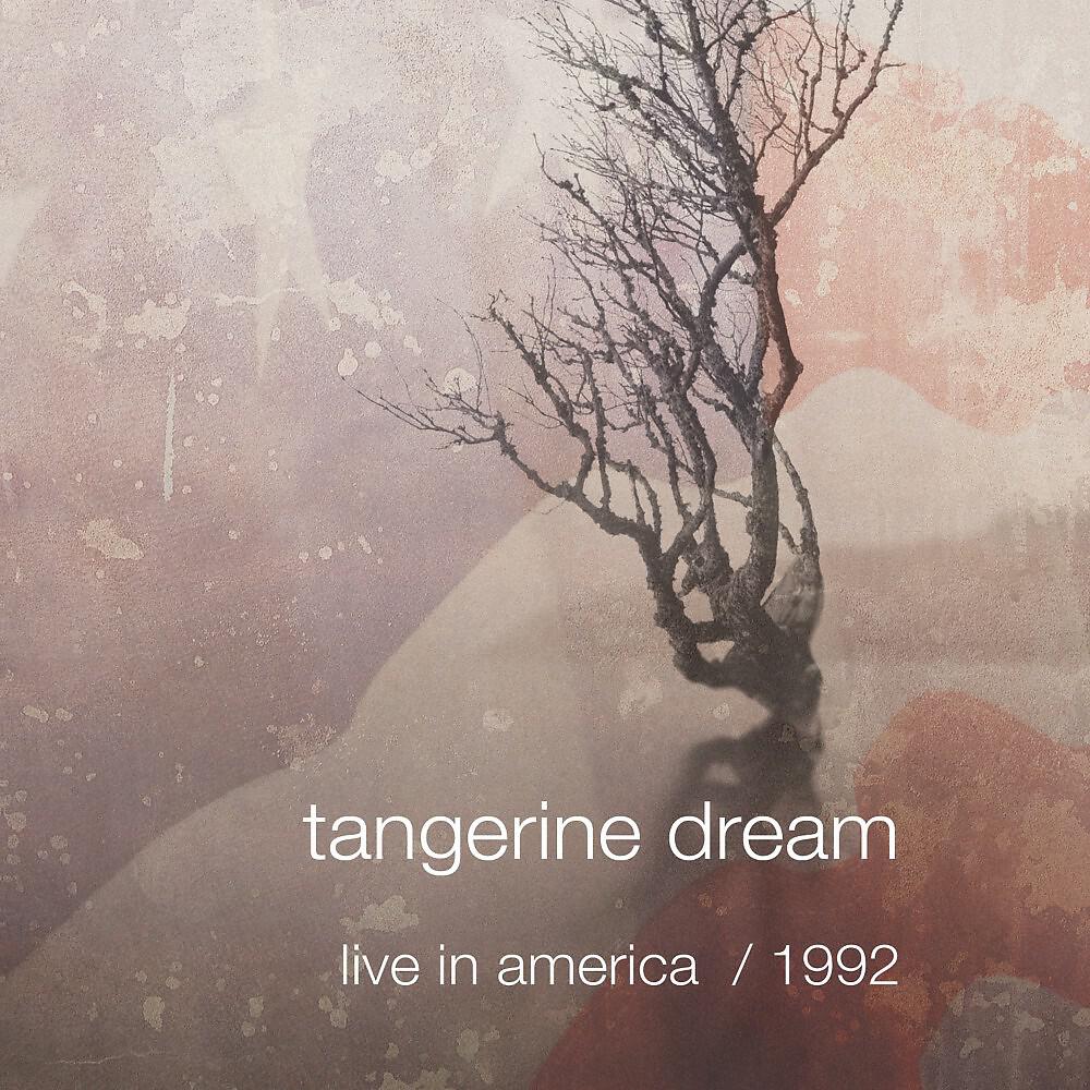 Tangerine Dream - Phaedra (Live)
