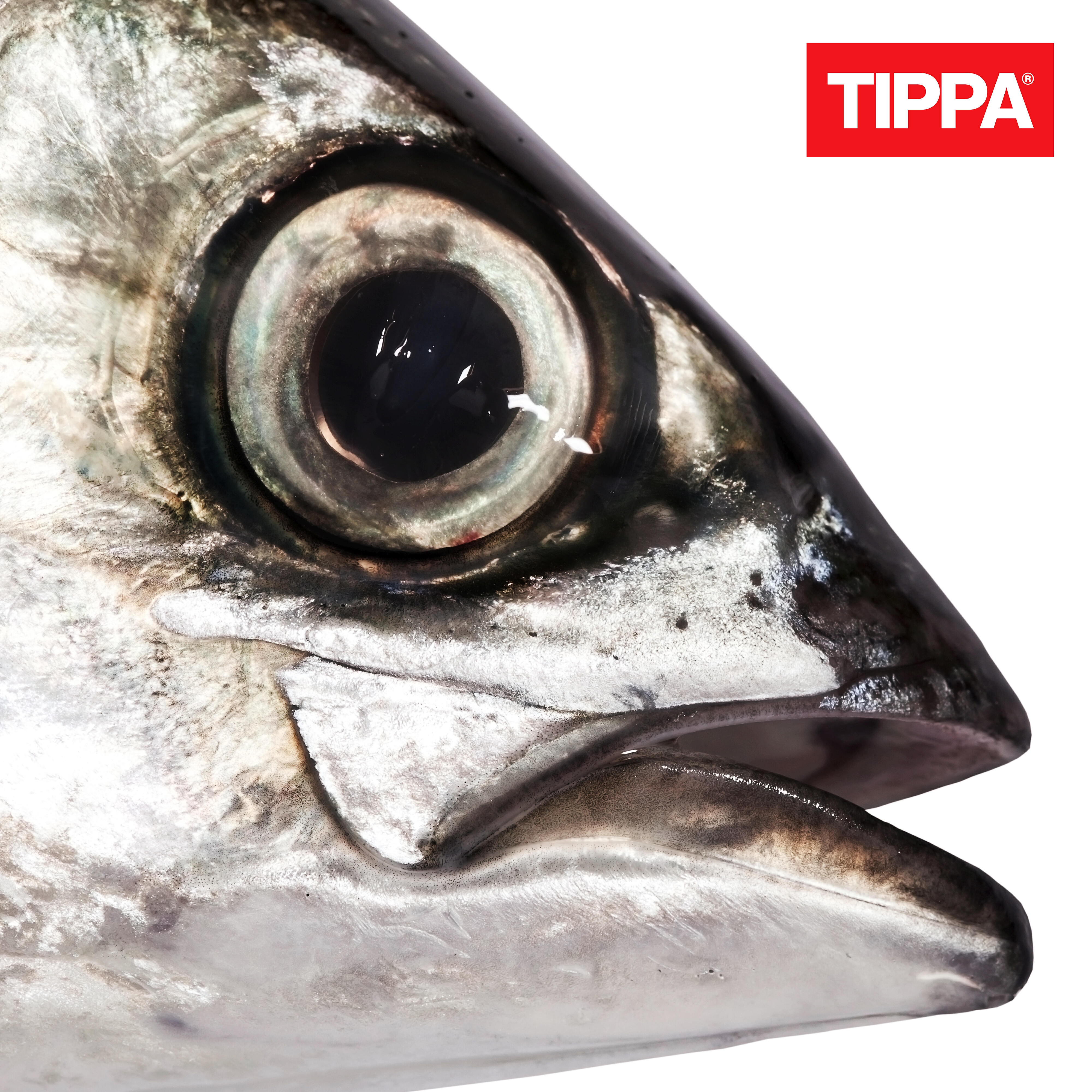 TIPPA - Roska silmäs