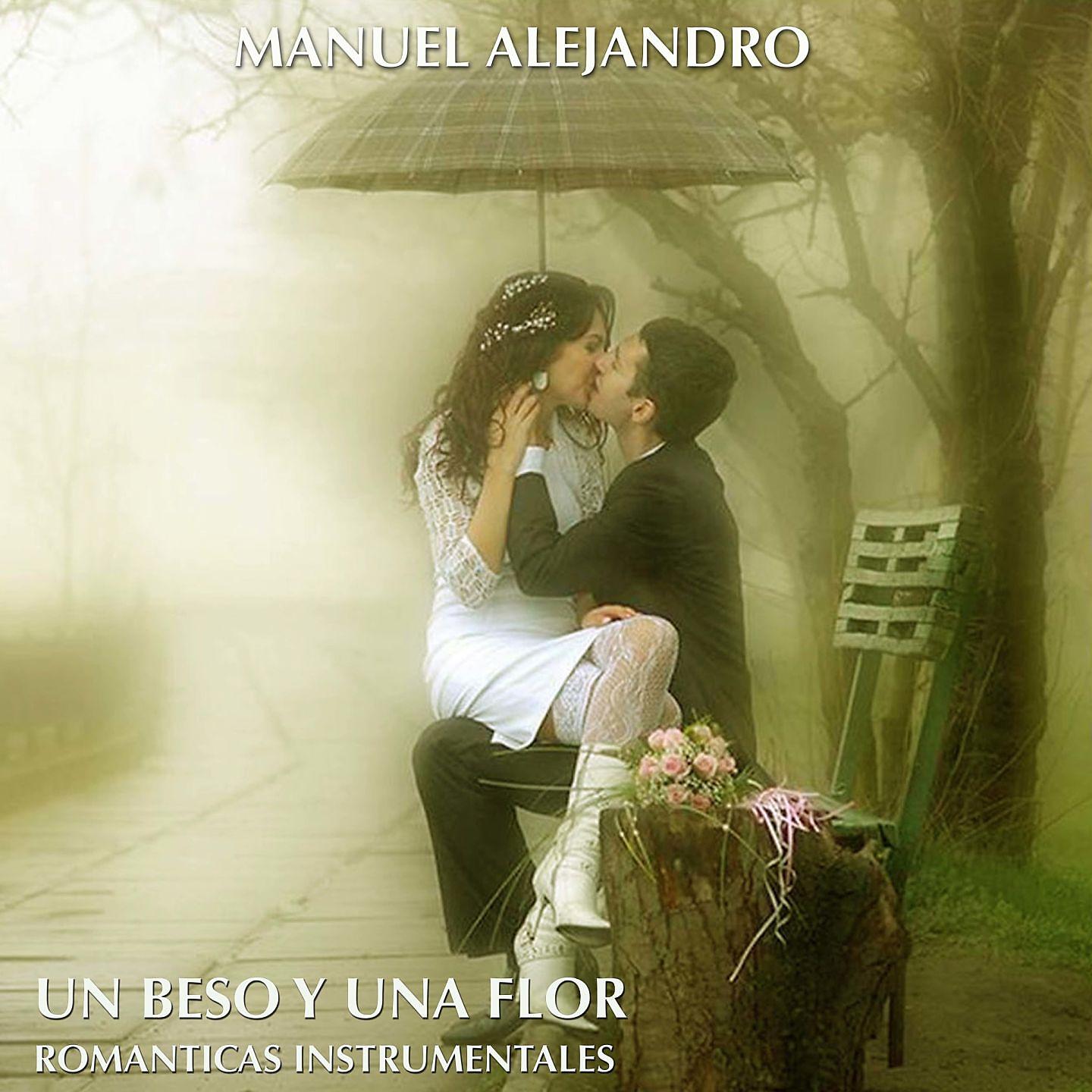 Постер альбома Un Beso y Una Flor Romanticas Instrumentales