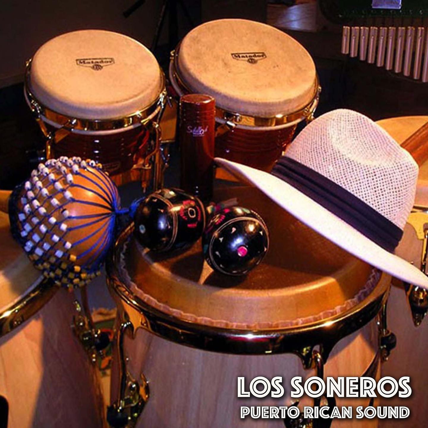 Постер альбома Los Soneros
