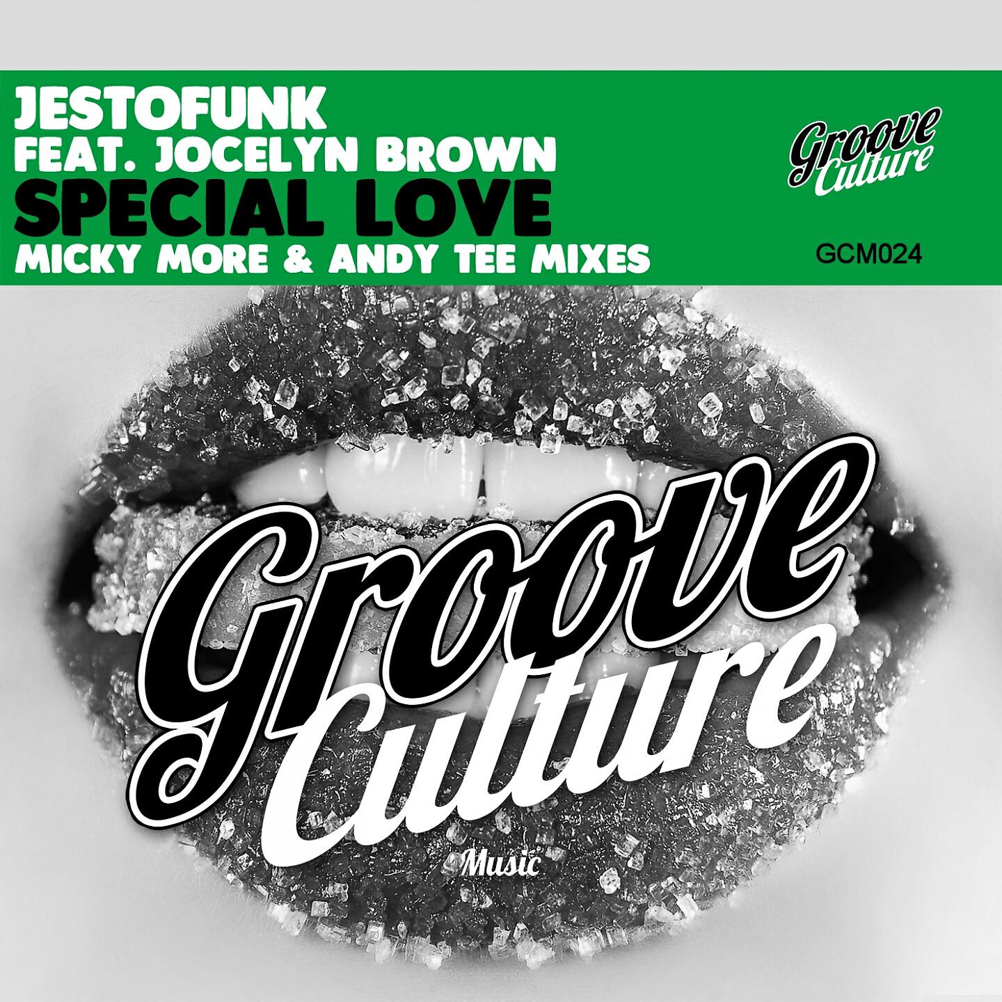 Jestofunk - Special Love (Micky More & Andy Tee Club Mix)