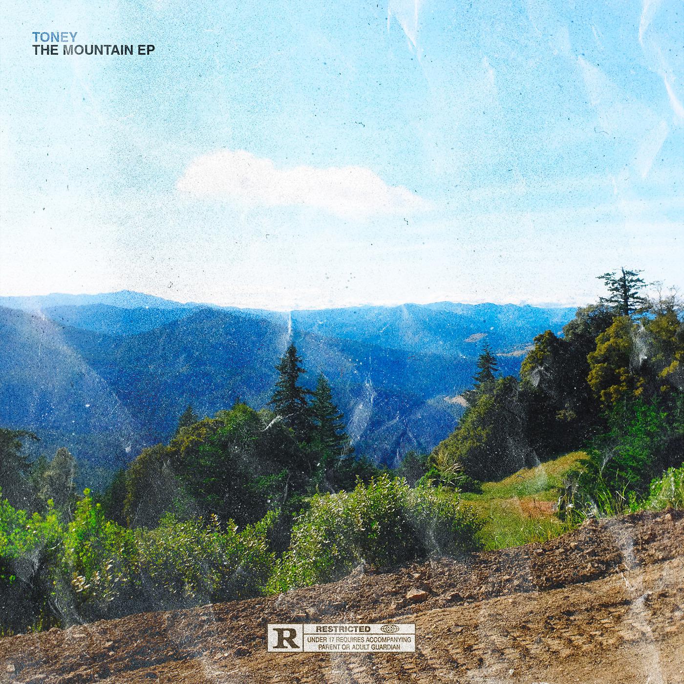 Постер альбома The Mountain - EP