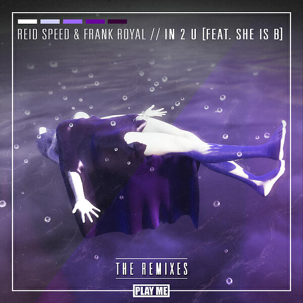 Reid Speed - IN 2 U (feat. She Is B) (Des McMahon Remix)