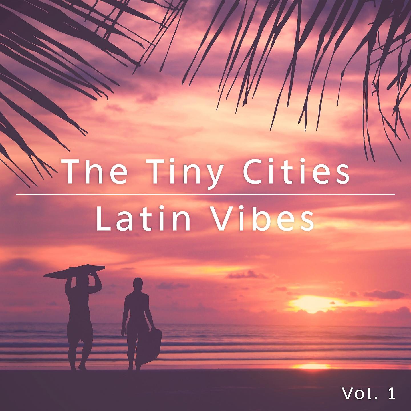 Постер альбома Latin Vibes, Vol. 1
