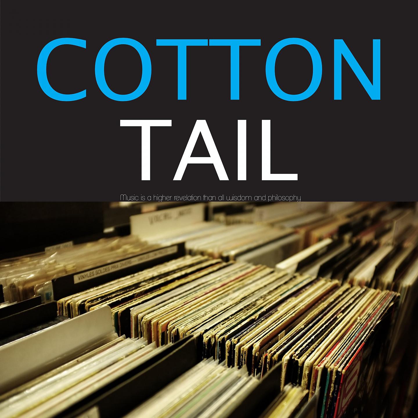 Постер альбома Cotton Tail