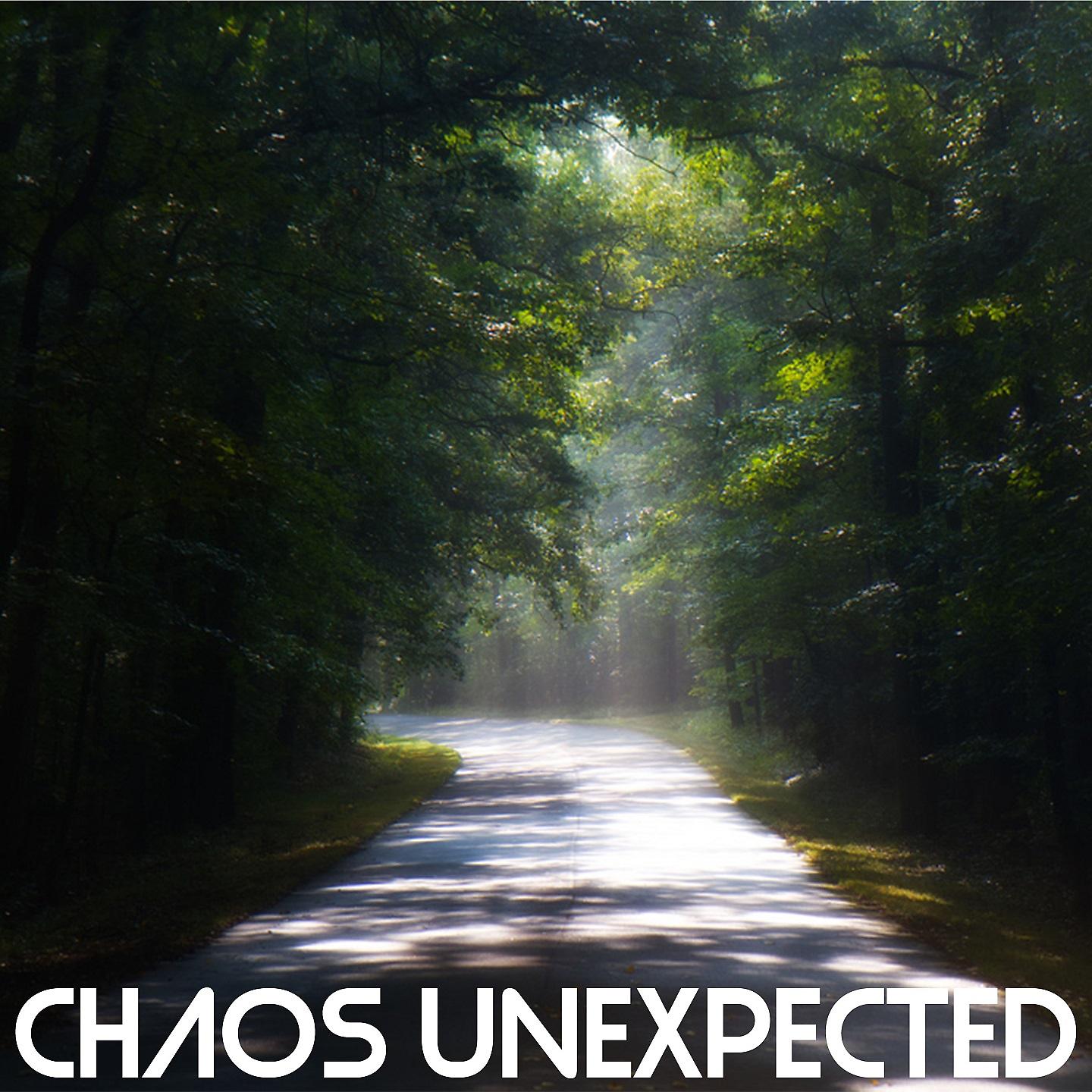 Постер альбома Chaos Unexpected