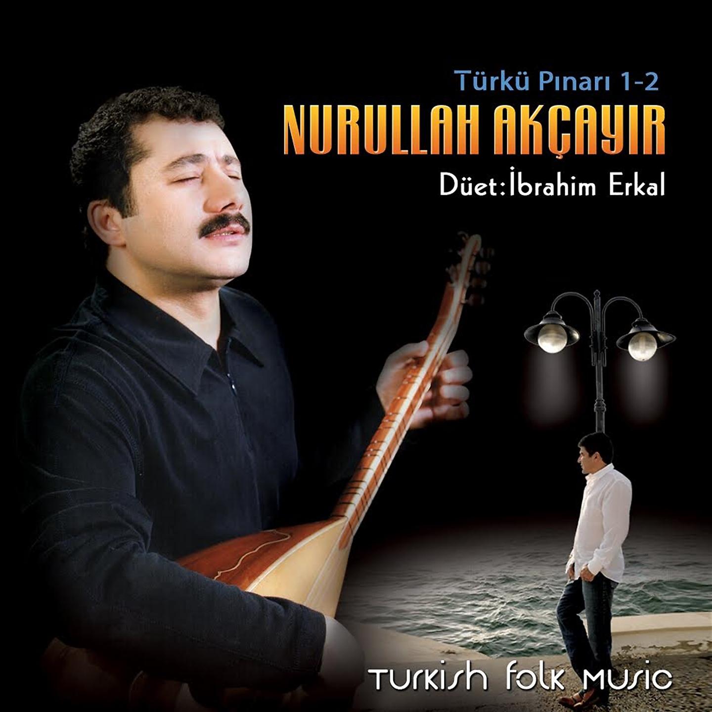 Постер альбома Türkü Pınarı