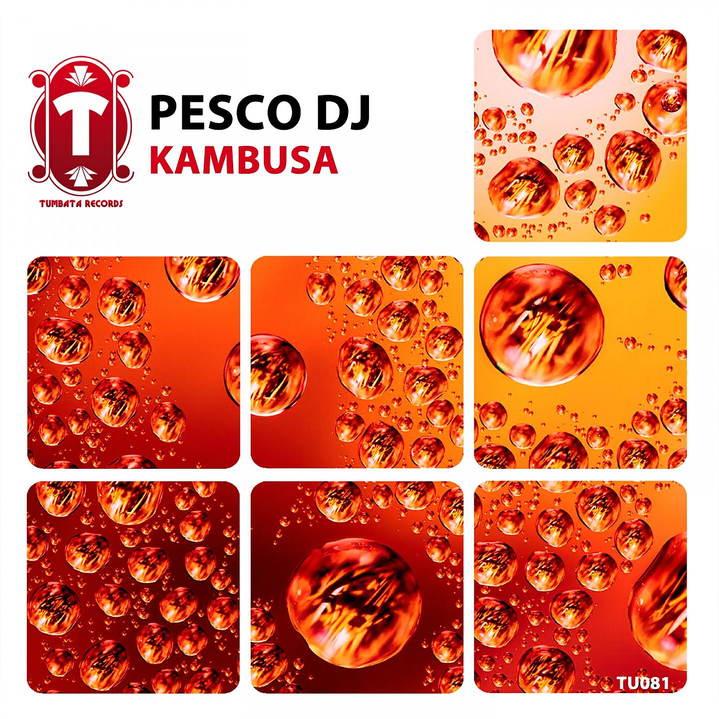 Pesco DJ - Kambusa (Radio Edit)