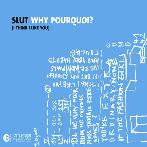Постер альбома Why Pourquoi (I Think I Like You)