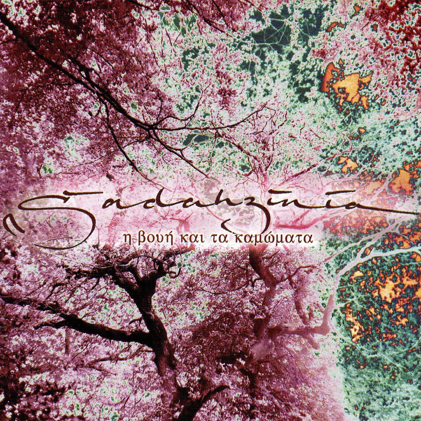 Sadahzinia - I Voui Kai Ta Kamomata