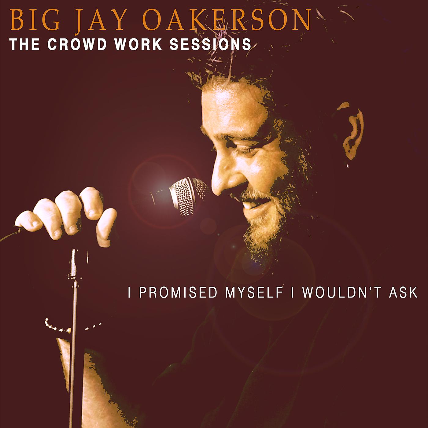 Постер альбома The Crowd Work Sessions: I Promised Myself I Wouldn't Ask