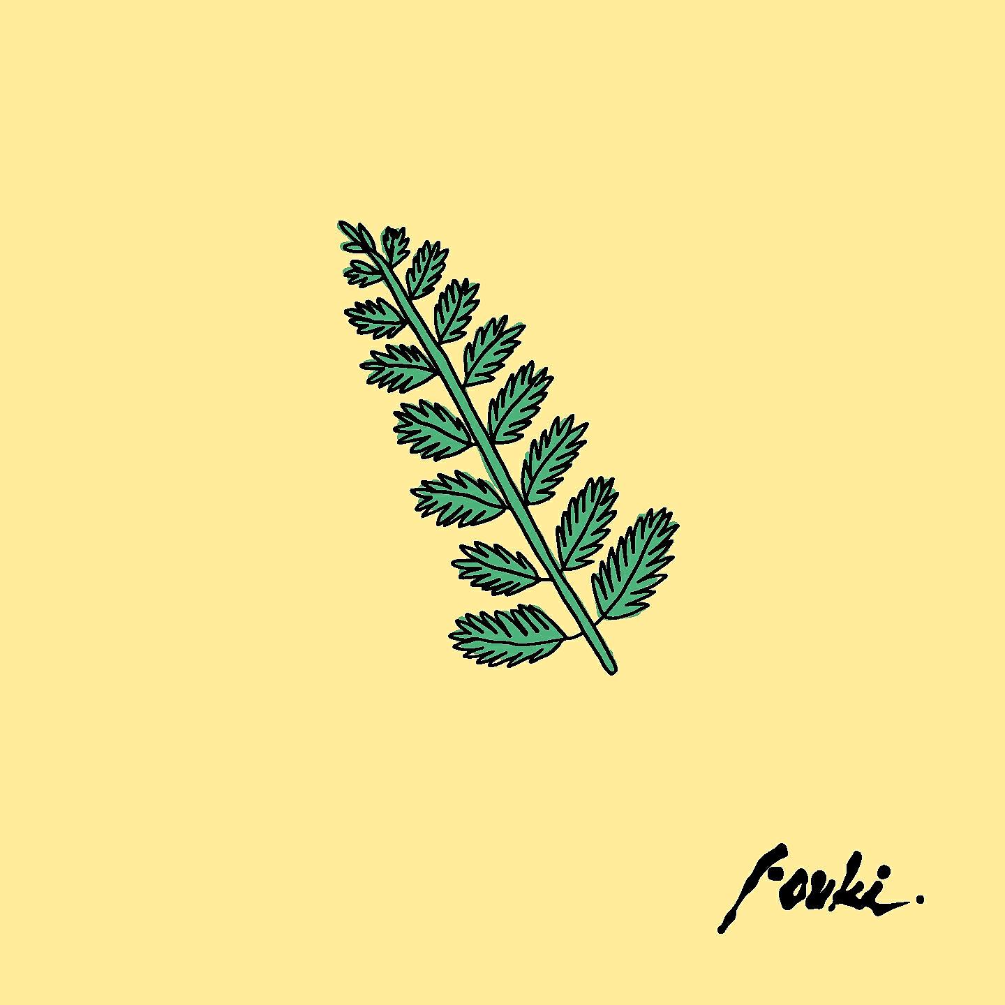 FouKi - All Zay
