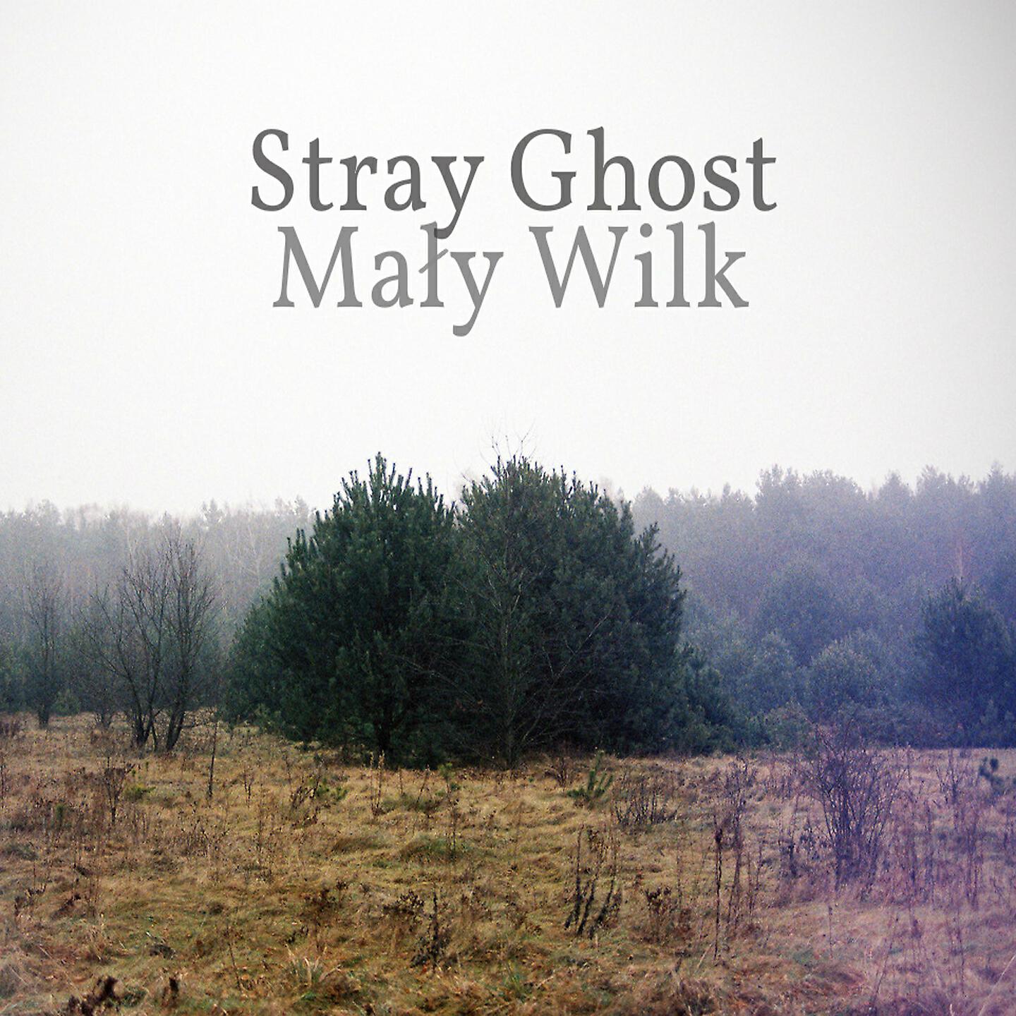 Stray Ghost - Burza // Storm