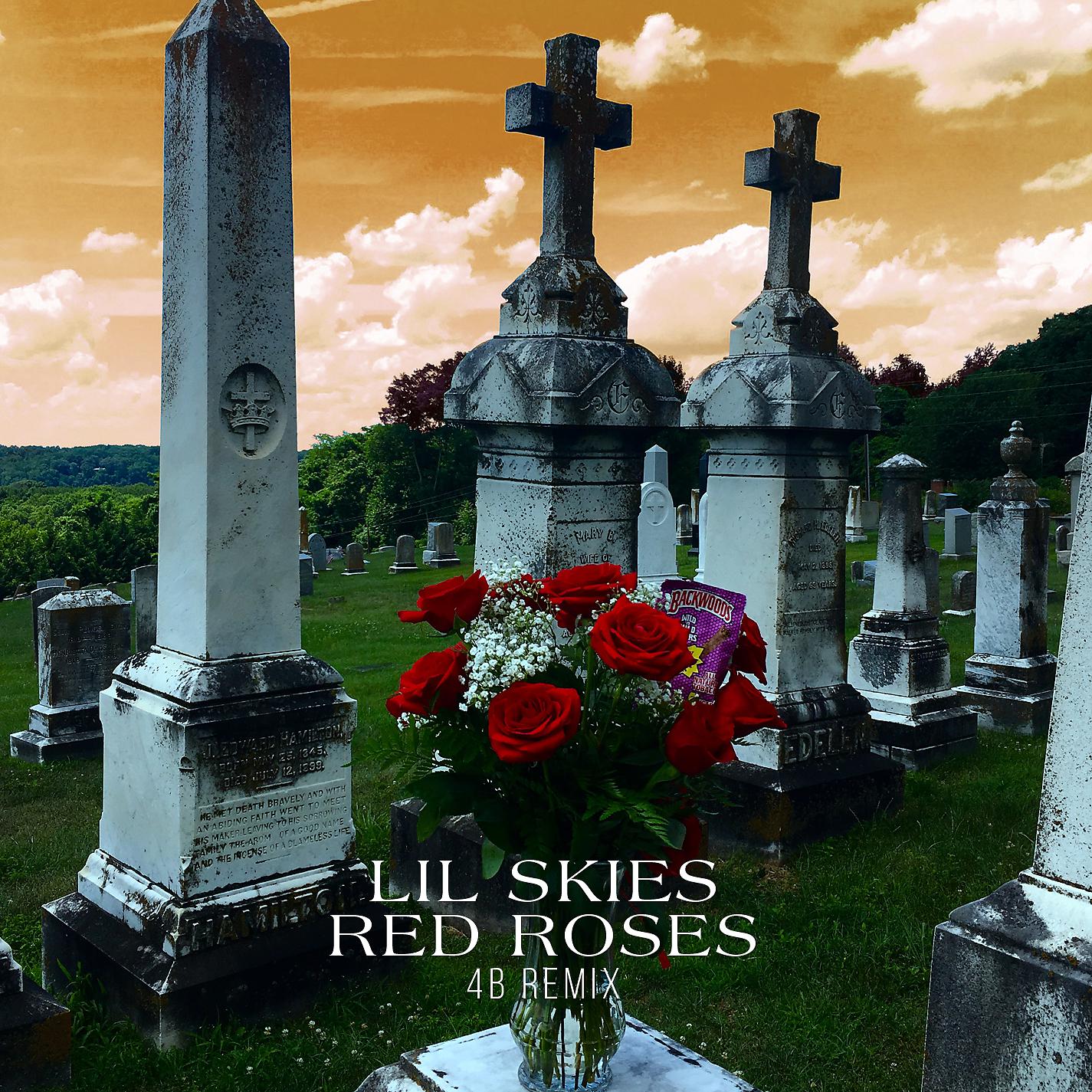 Постер альбома Red Roses (4B Remix)