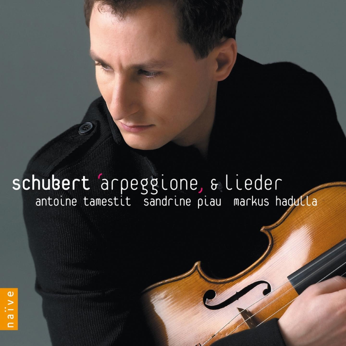 Постер альбома Schubert: Arpeggione & Lieder